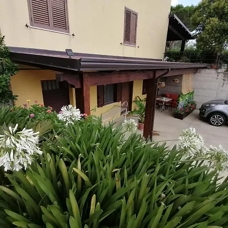 Apartment Materdomini